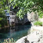 Hostel Backpackers *