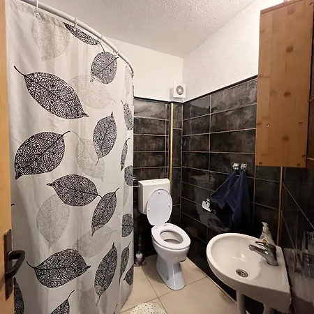 אכסניה Backpackers מוסטר