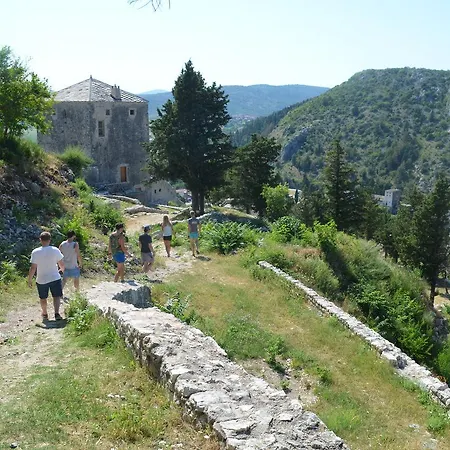 Backpackers אכסניה מוסטר