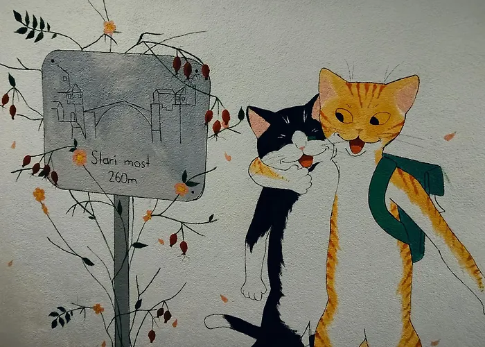 Backpackers אכסניה