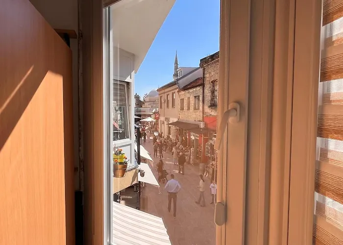 Backpackers מוסטר