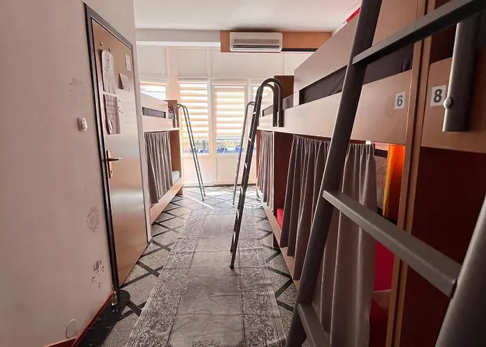 Backpackers * מוסטר