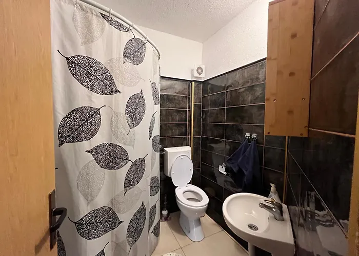 אכסניה Backpackers מוסטר