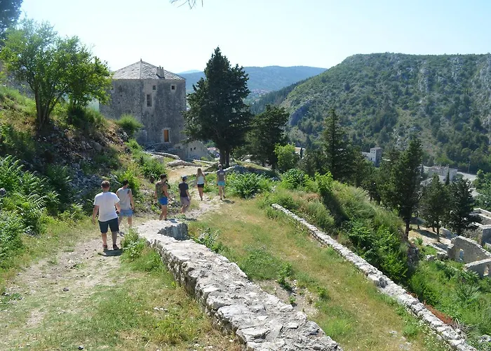 Backpackers אכסניה מוסטר