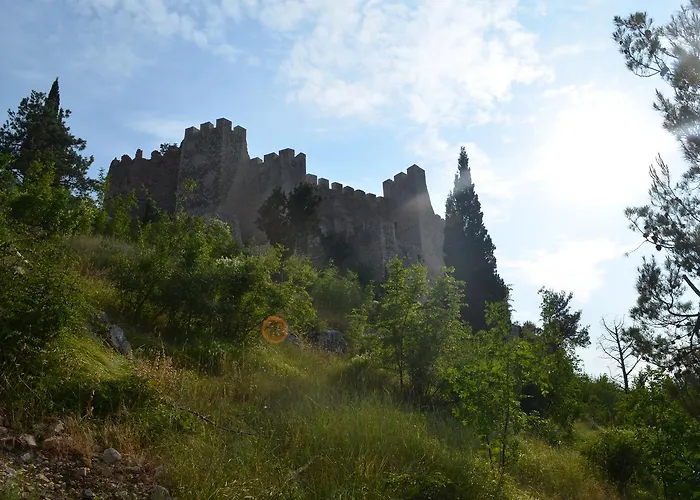 Hostel Backpackers *