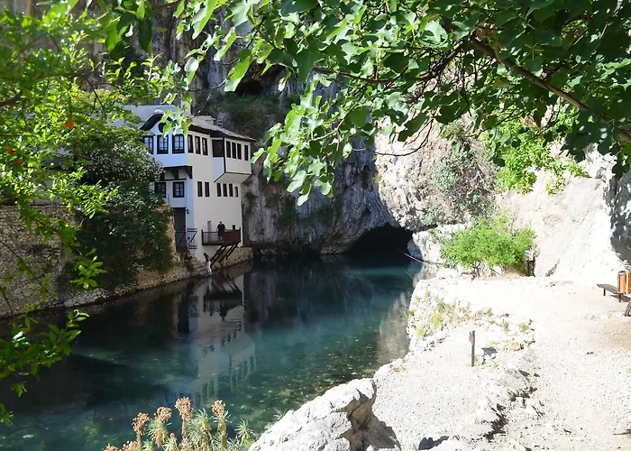 Hostel Backpackers *